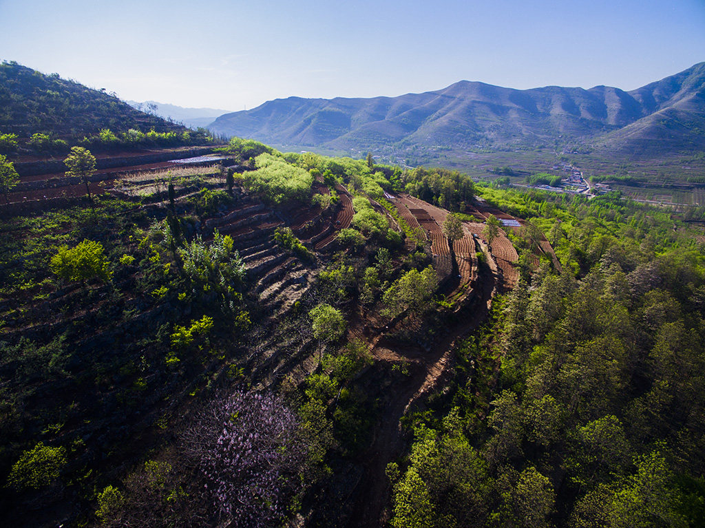 中国-山东省-临沂市-蒙阴县-桃墟镇-前程村