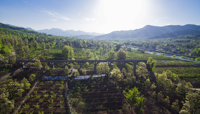 中国-山东省-临沂市-蒙阴县-桃墟镇-前程村