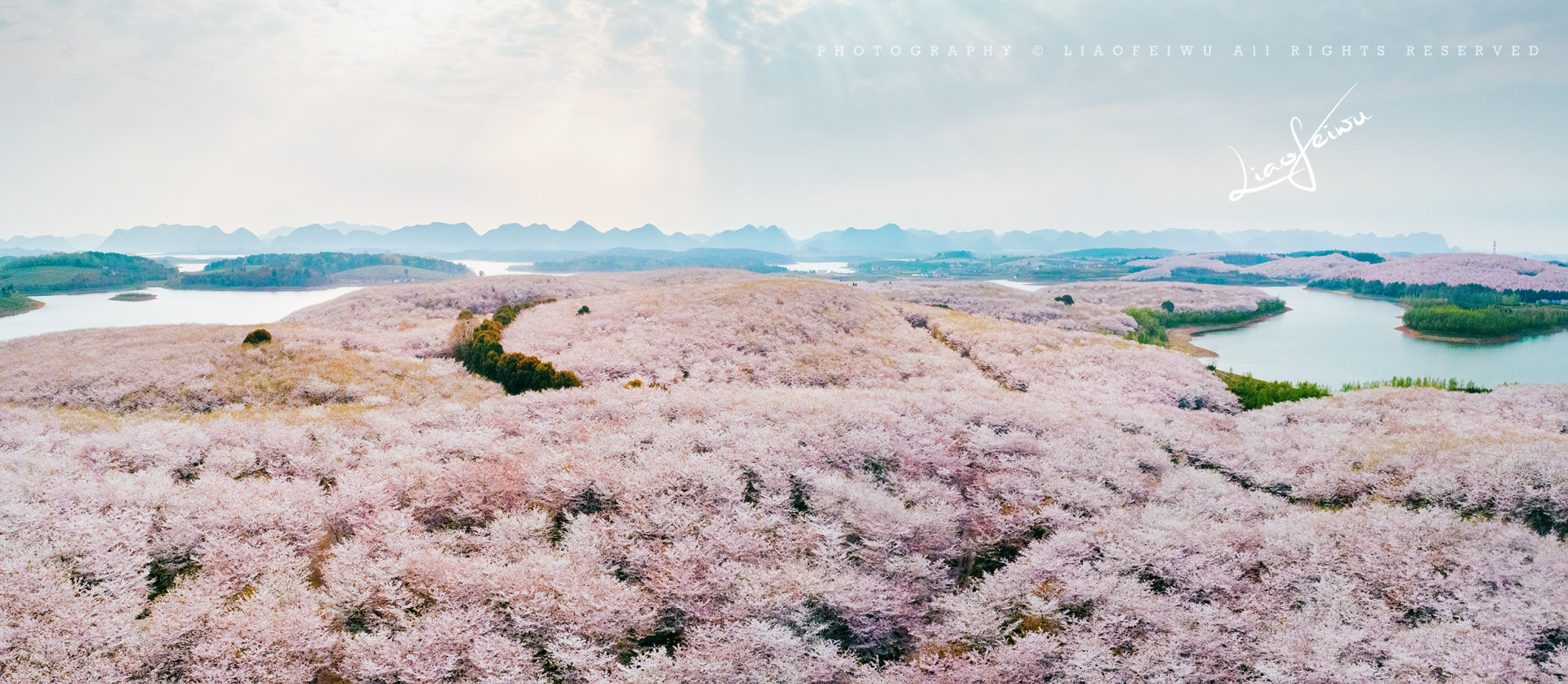 2020平坝樱花园