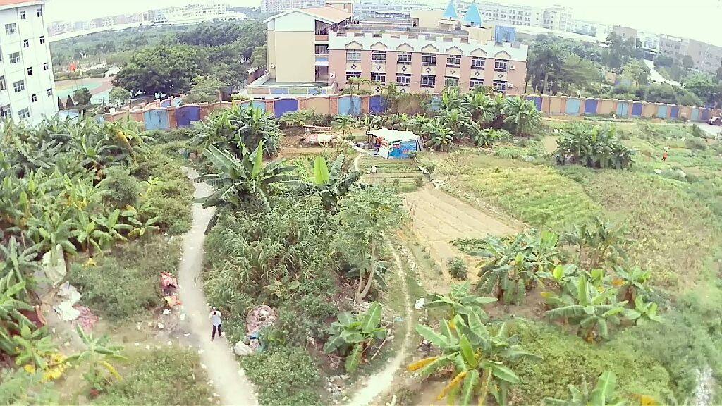 桑园老村