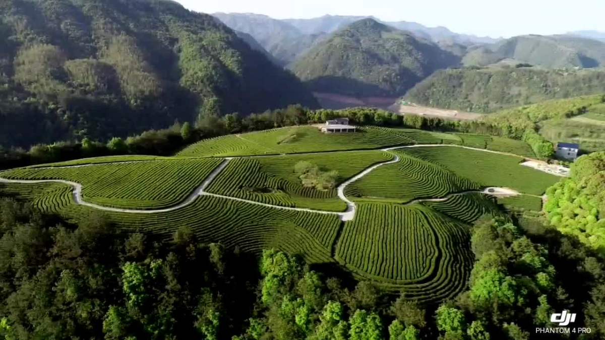 04.09,07.30,遂昌县湖山乡,诗里湖山民宿!