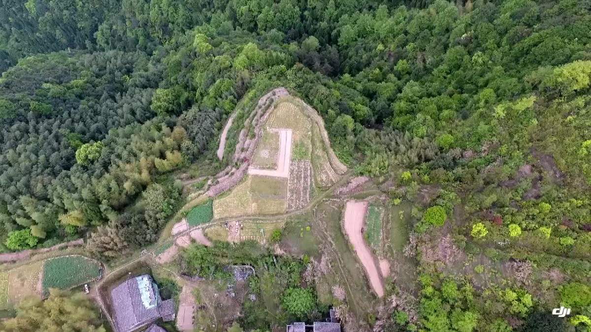 4.21智仁乡五公里越野沿途风景(利条—合朝—小岭)