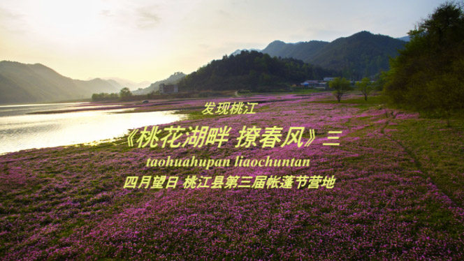 《桃花湖 撩春风》湖南 桃江 桃花湖