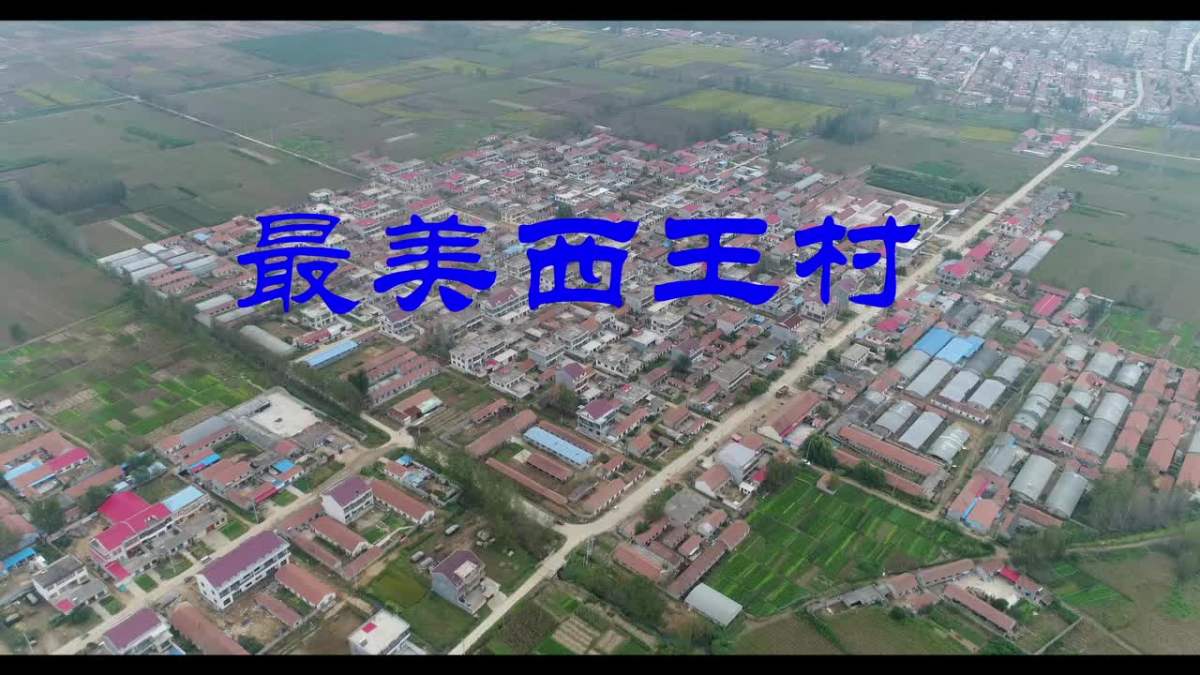 西王村.mov