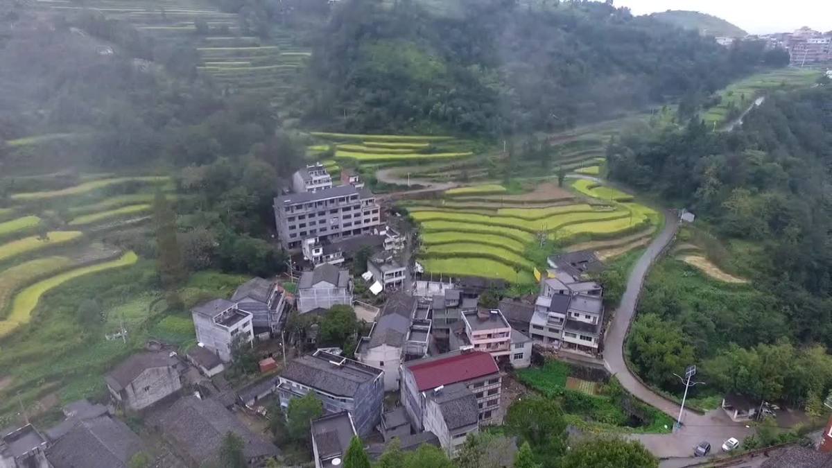 永嘉枫林下港村航拍