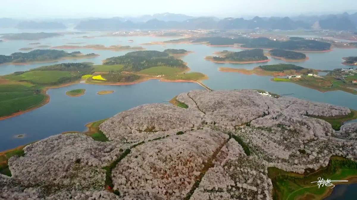 樱花岛(贵州平坝县)