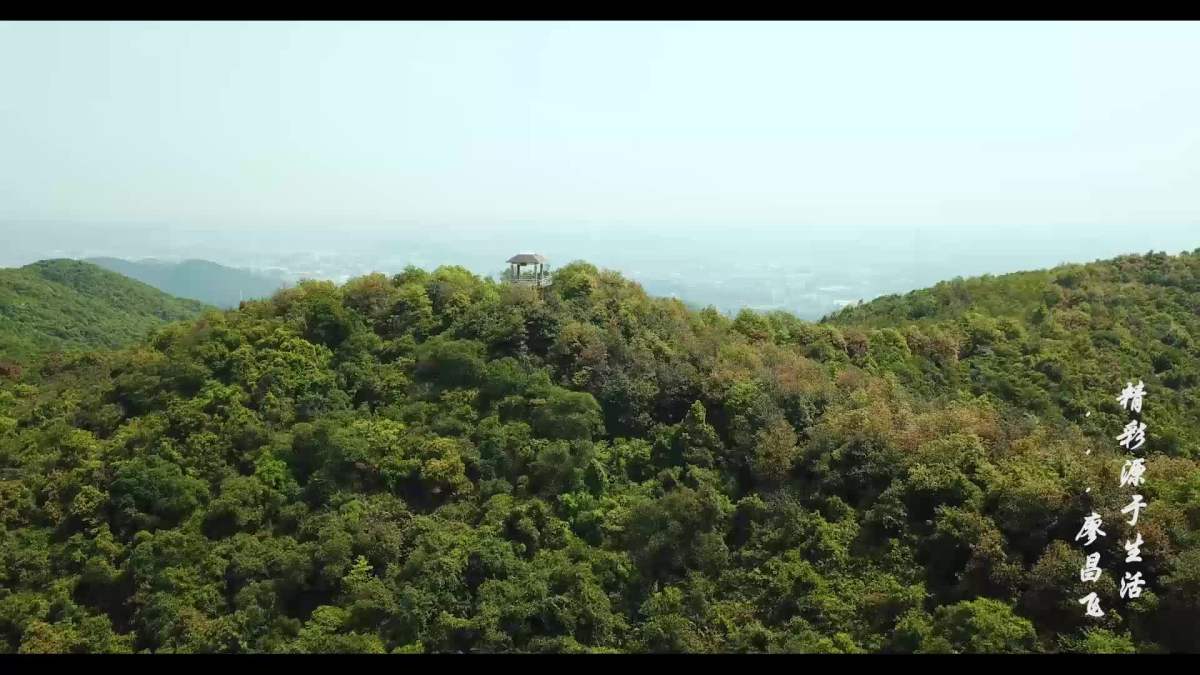 大岭山茶山顶