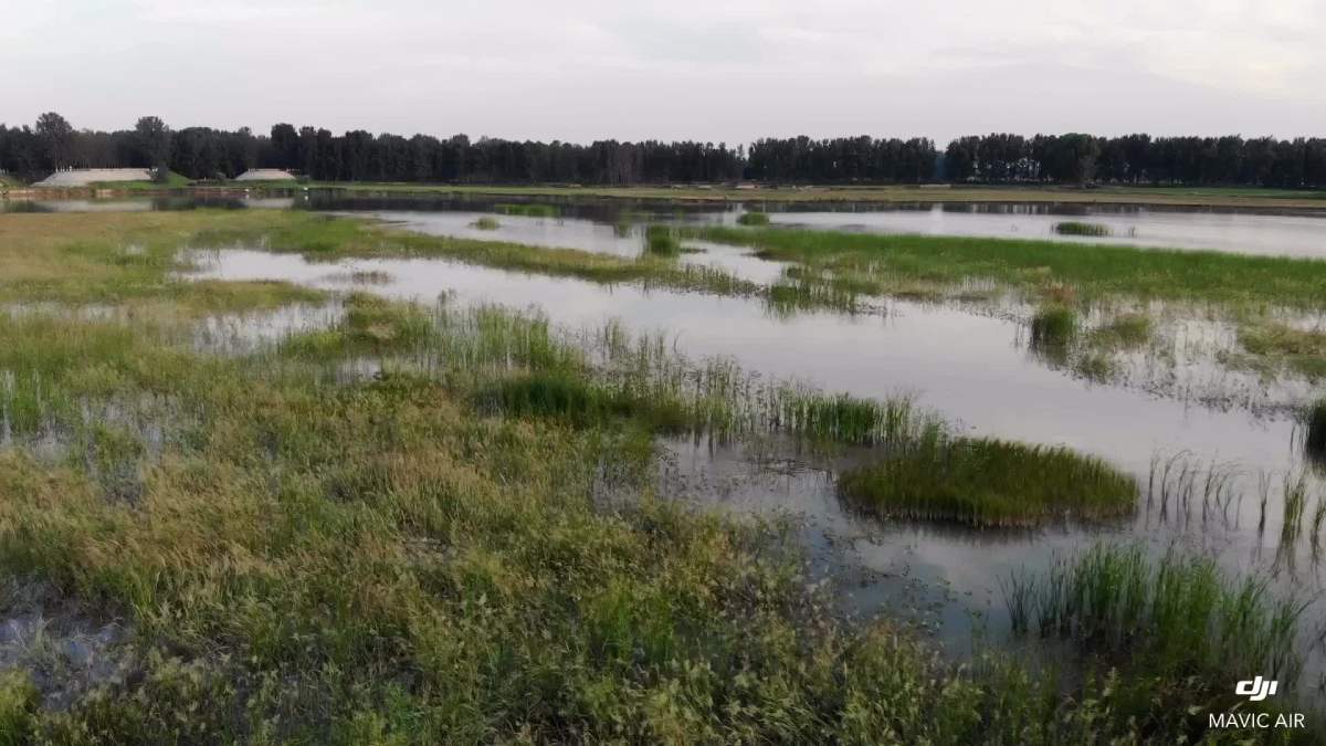 黄河鄄城段