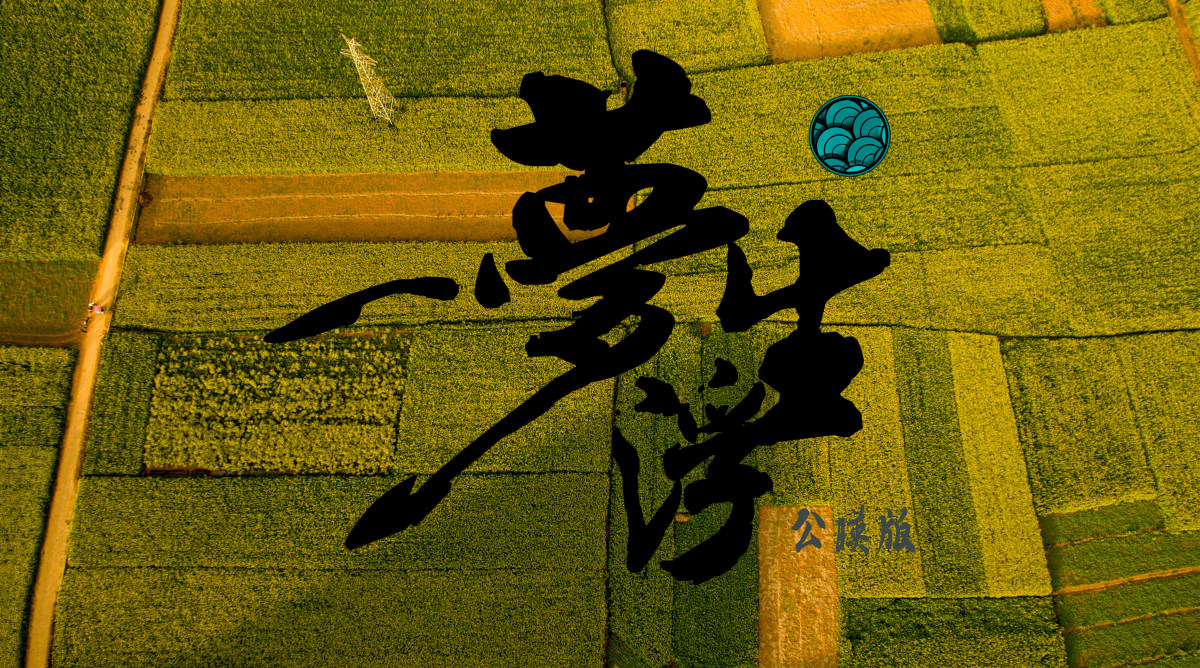 一梦浮生(公益版)