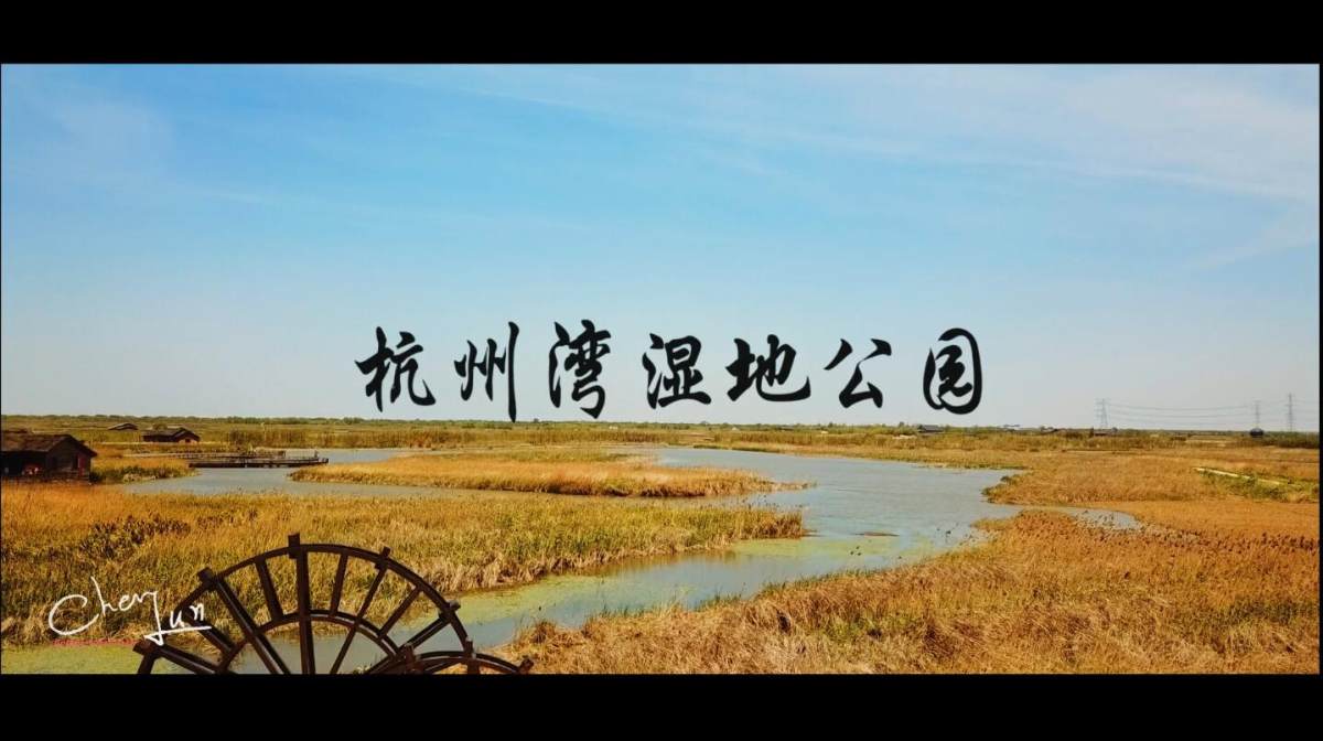 杭州湾湿地公园mp4