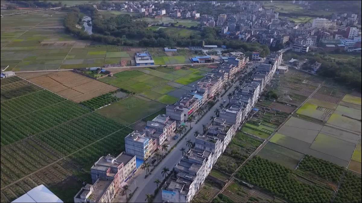 广西梧州大坡镇-路桥沿途风景