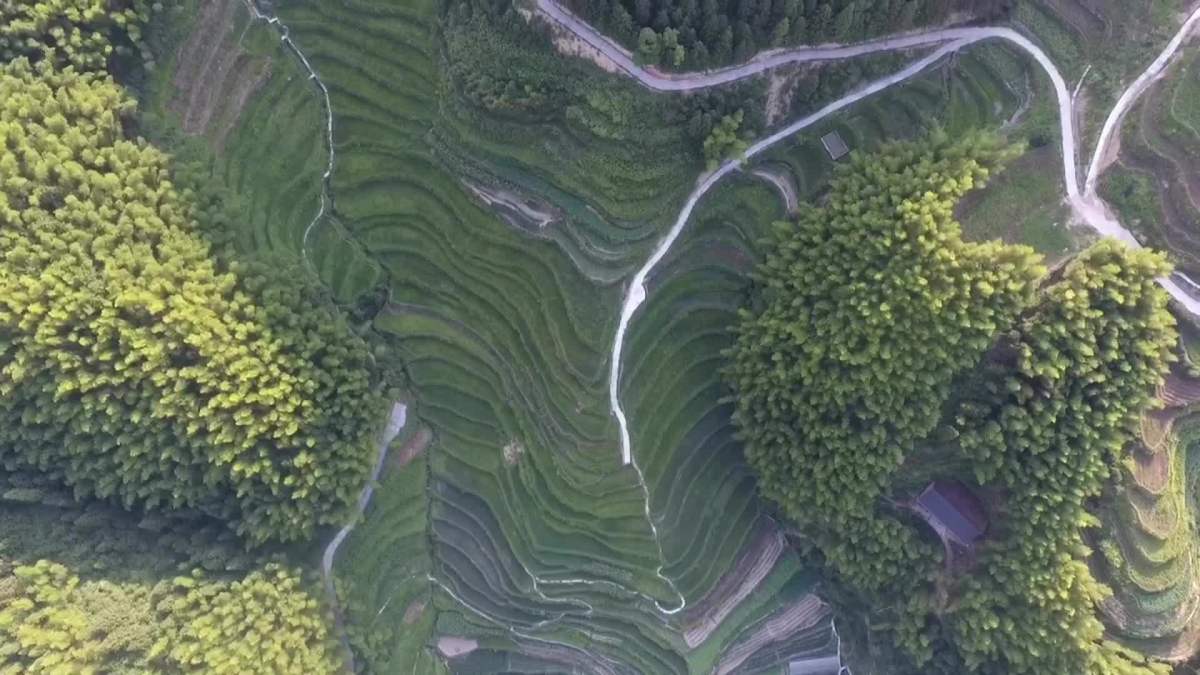 浙江省 龙泉市 龙南乡 兴和村