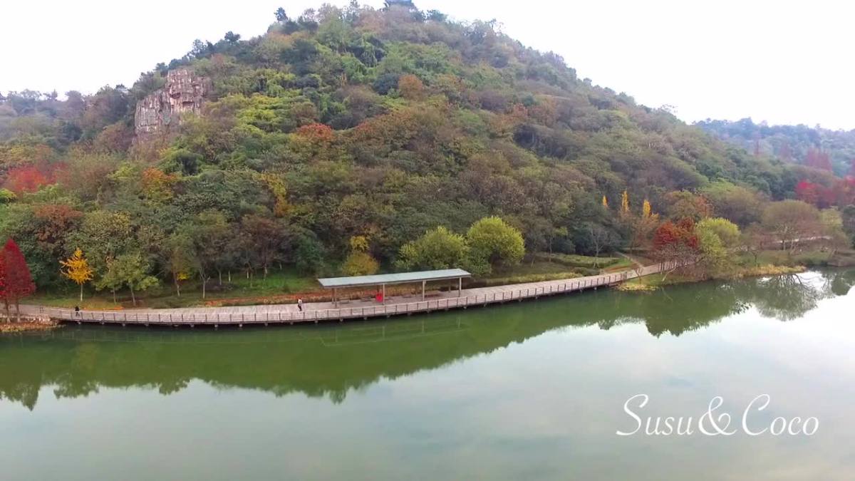 绍兴镜湖湿地公园