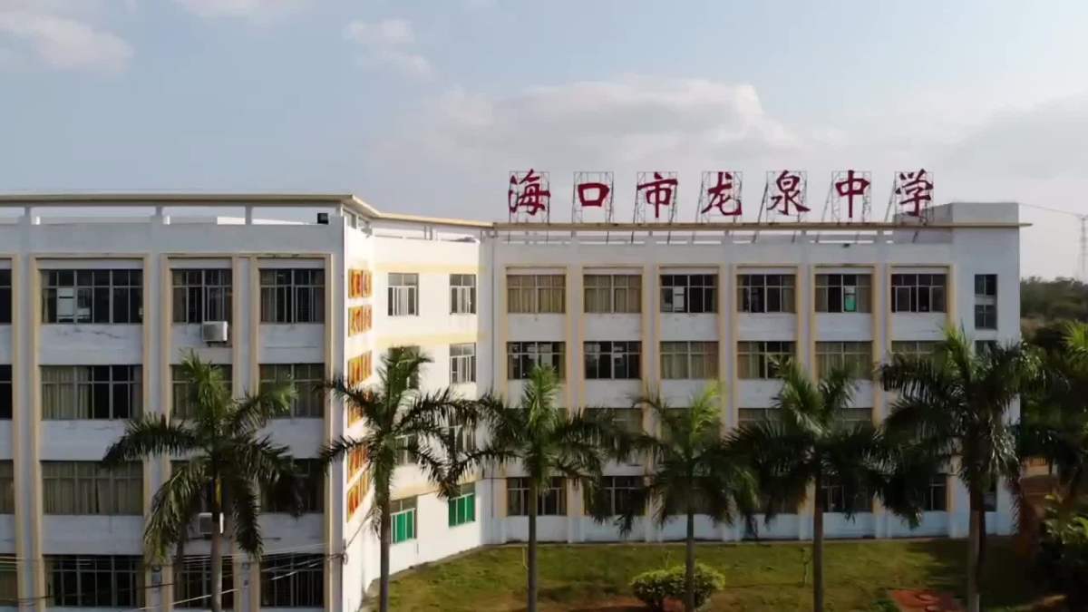 海口市龙泉镇中小学