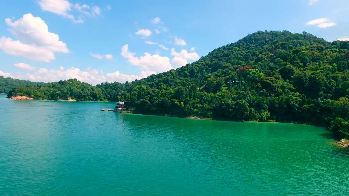 万绿湖风景