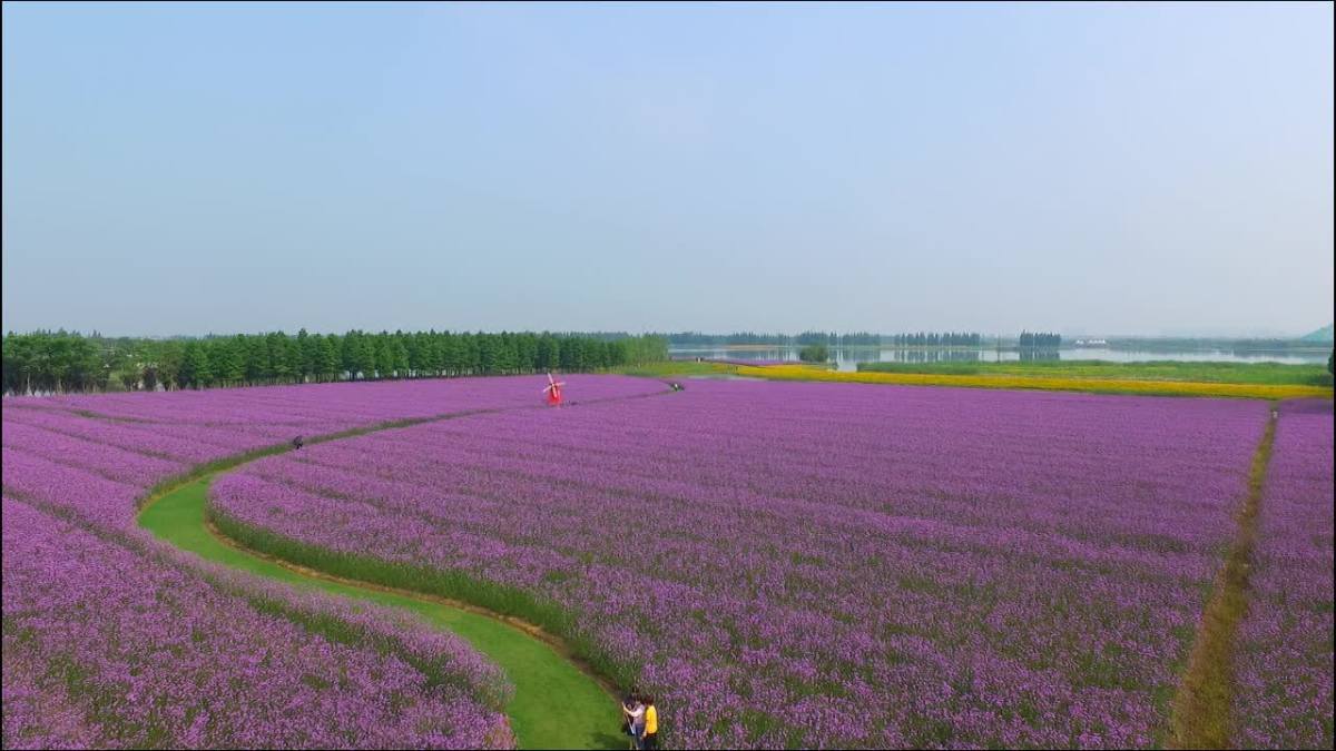 高淳水漫城