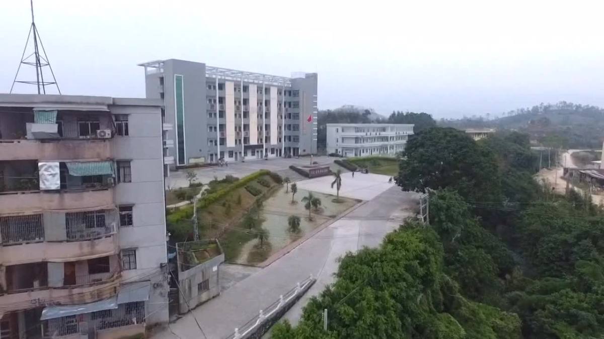 大安中学