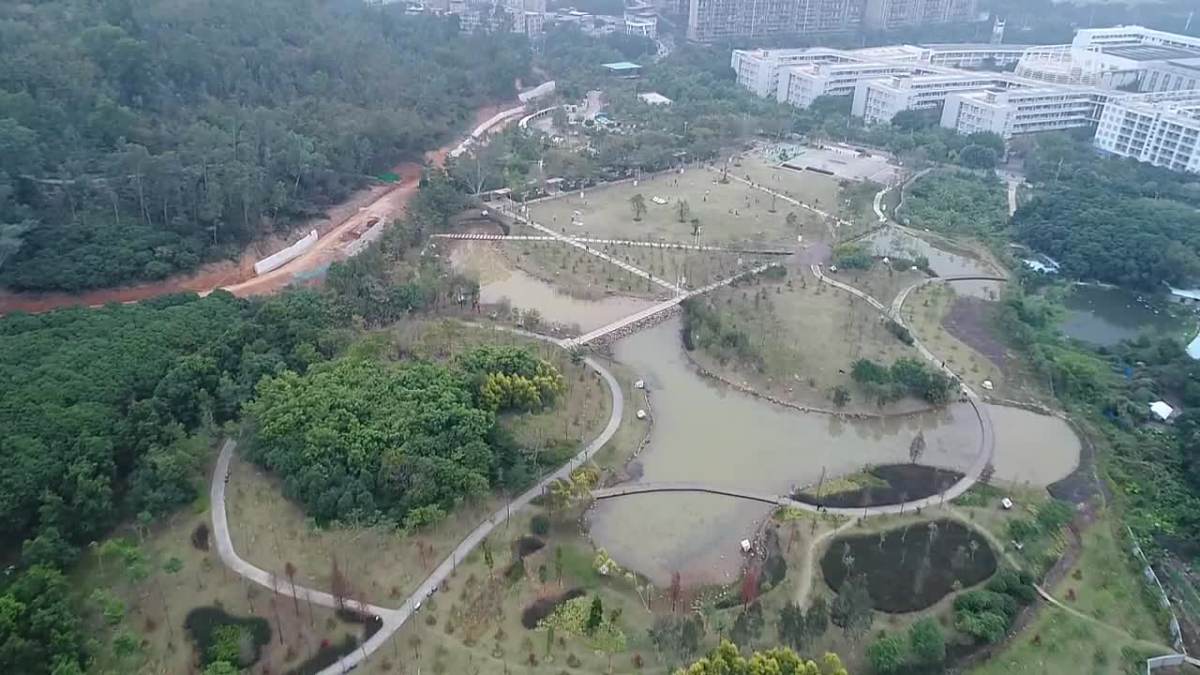 龙岗龙城公园