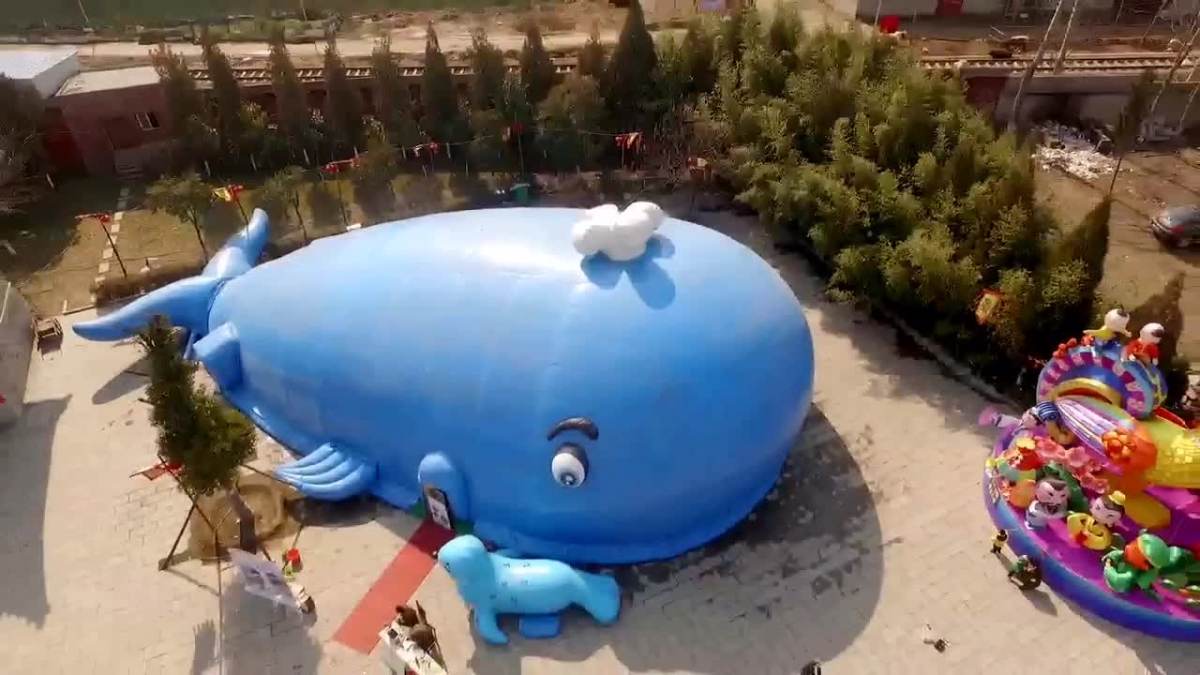 大蓝鲸之旅