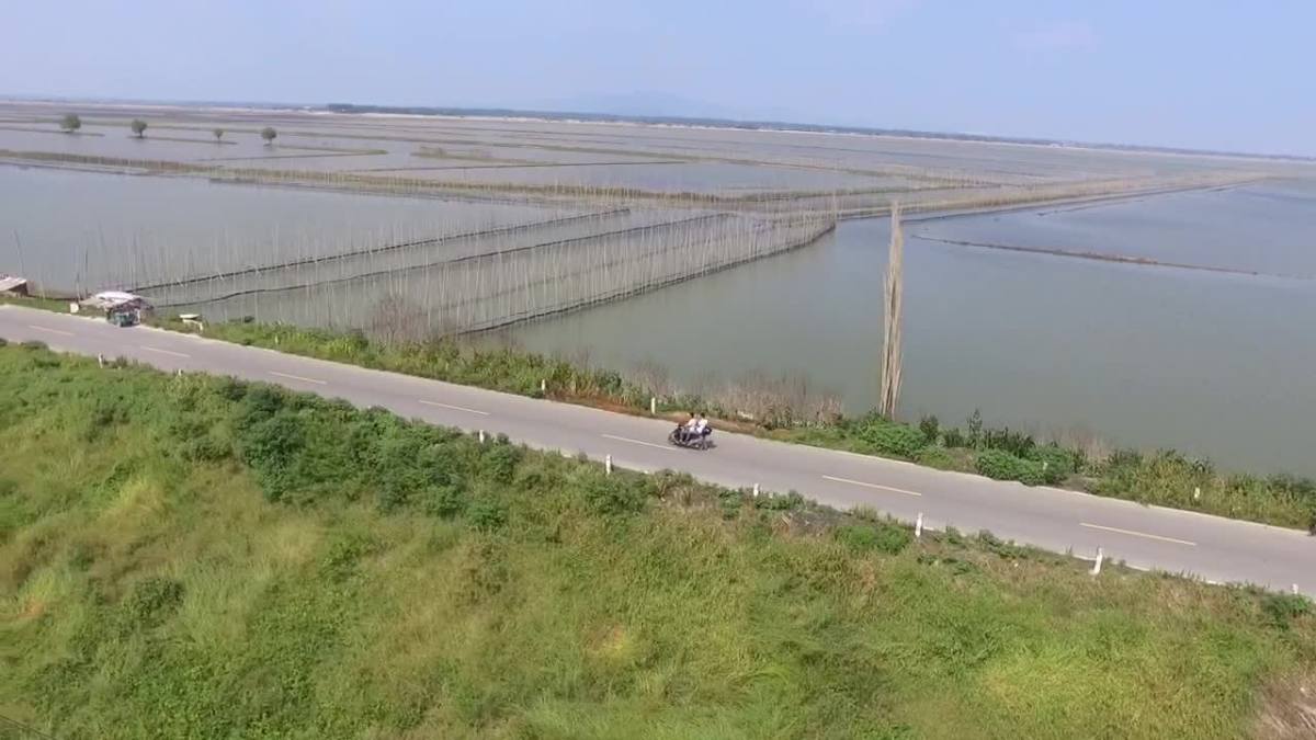 固城湖大闸蟹湖阳养殖区