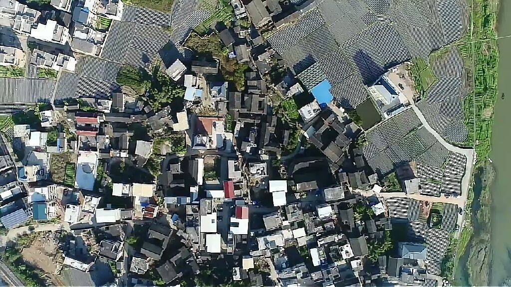 莲塘村