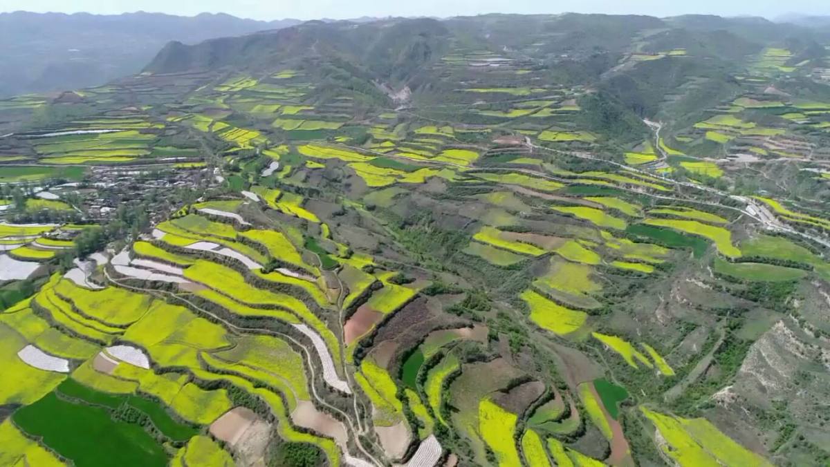 拍自甘肃漳县贵清山,离兰州3个半小时的路程,4月份赏景正当时.