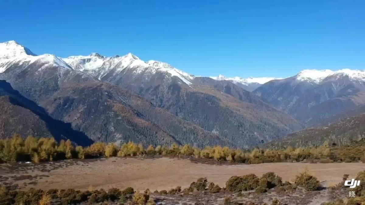 稻城俄初山,海拔4200多