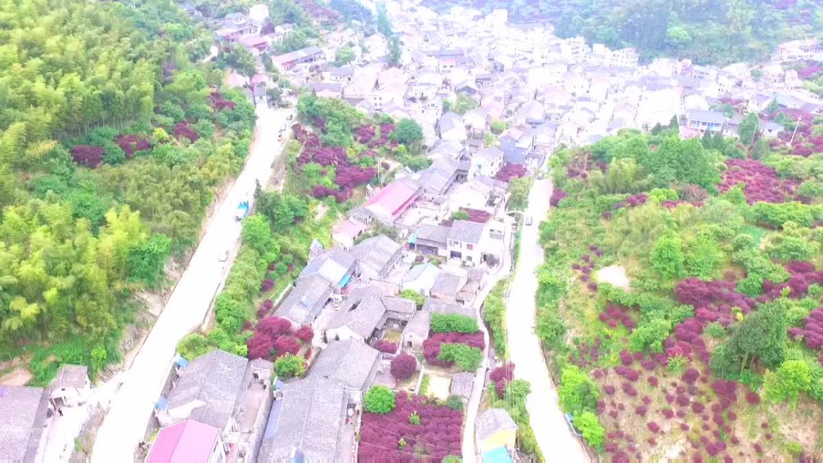 低空四明山镇唐田