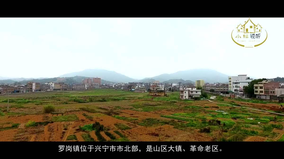 兴宁市罗岗镇.mp4