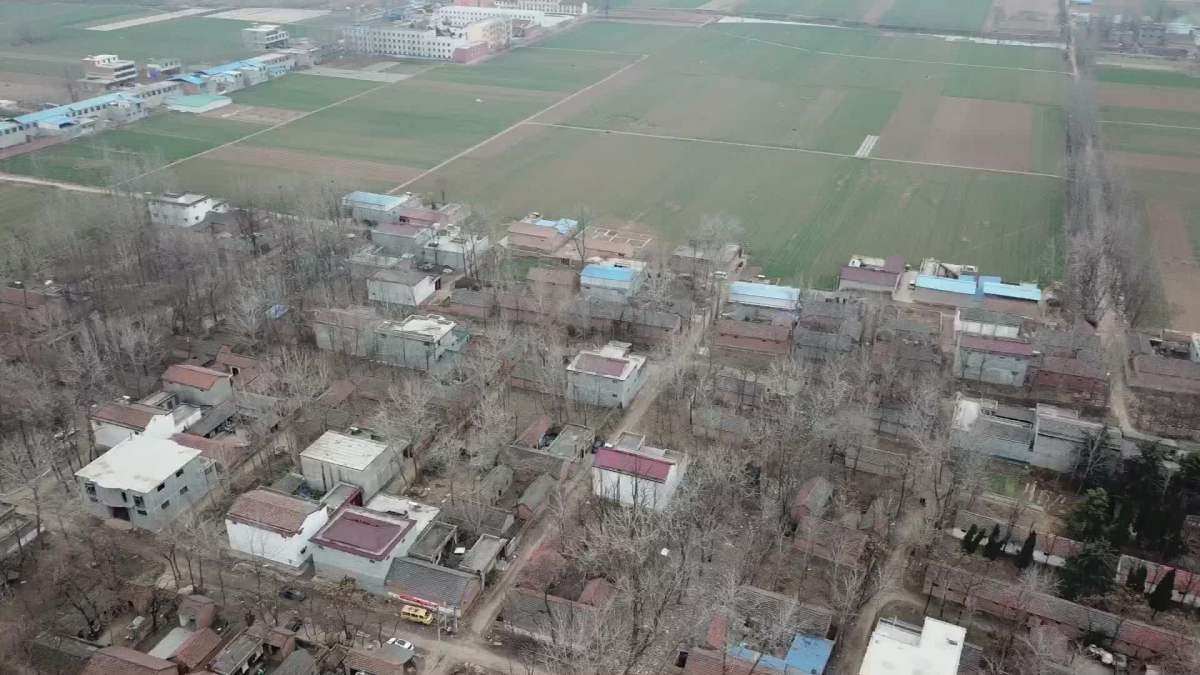 美丽和谐幸福的 张关庙全景