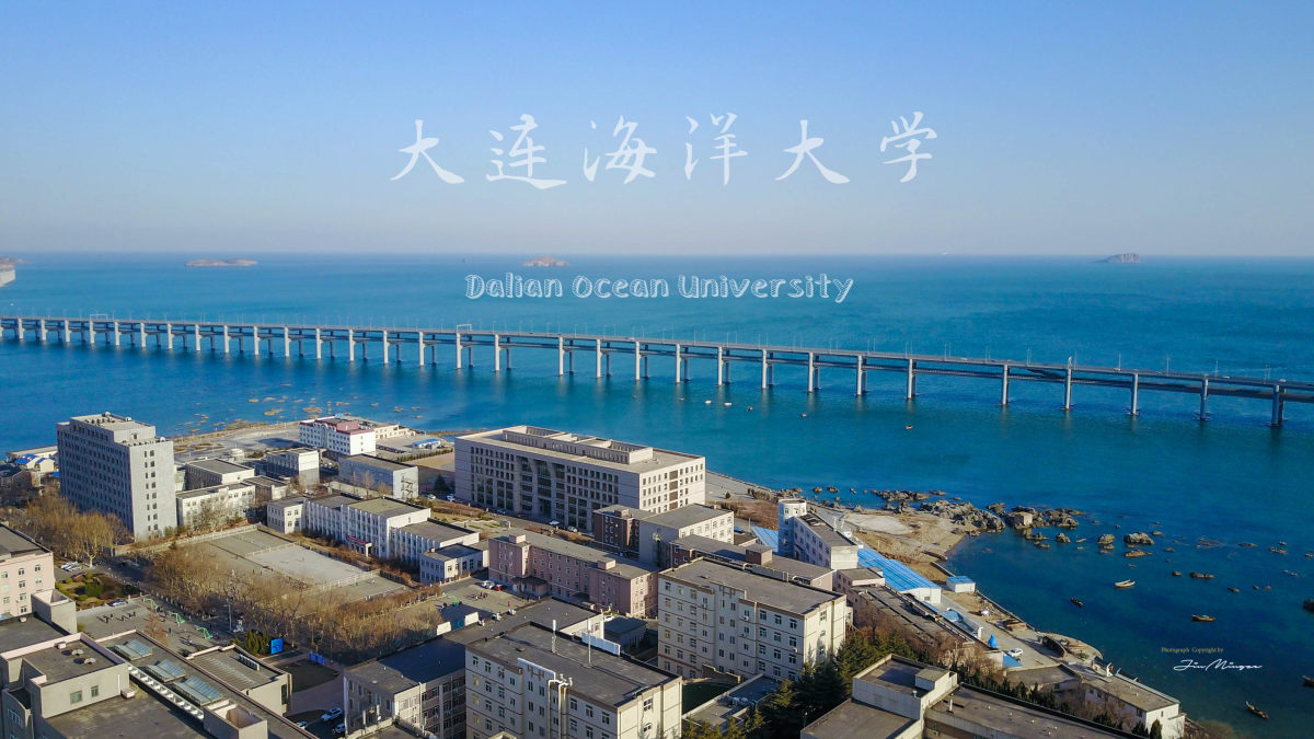 《韵动·大海大》-大连海洋大学首部延时摄影航拍纪录