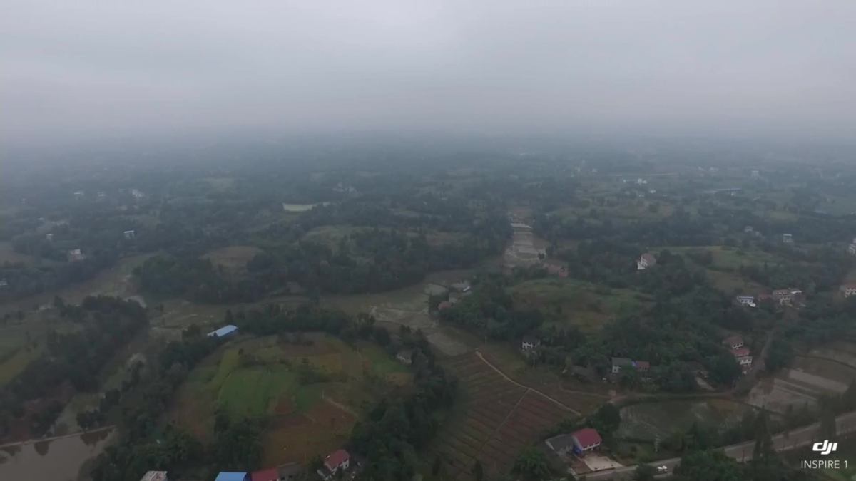 乐至县东山镇维诚农场(蚕桑)