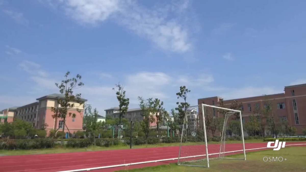 大禹小学六二班毕业季