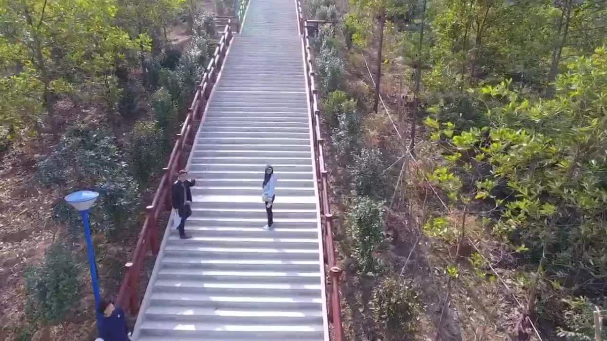 飞鹅岭森林公园