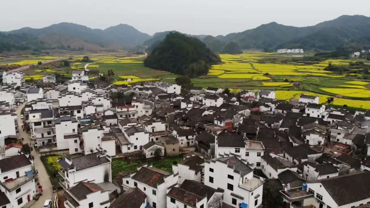 婺源.严田村