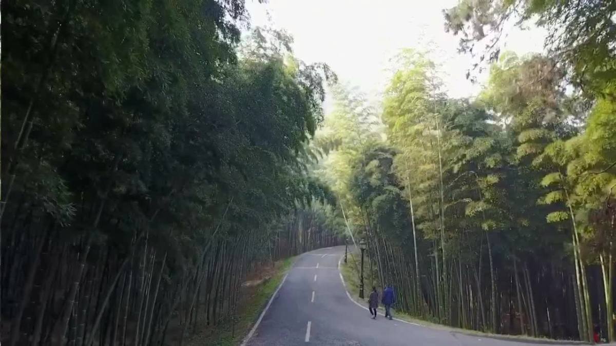 咸宁,飞跃潜山.