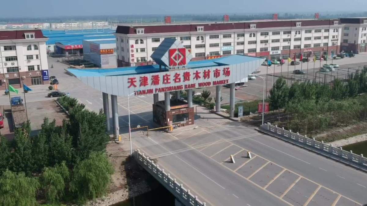 天上圣母安座潘庄名贵木材市场圣母宫