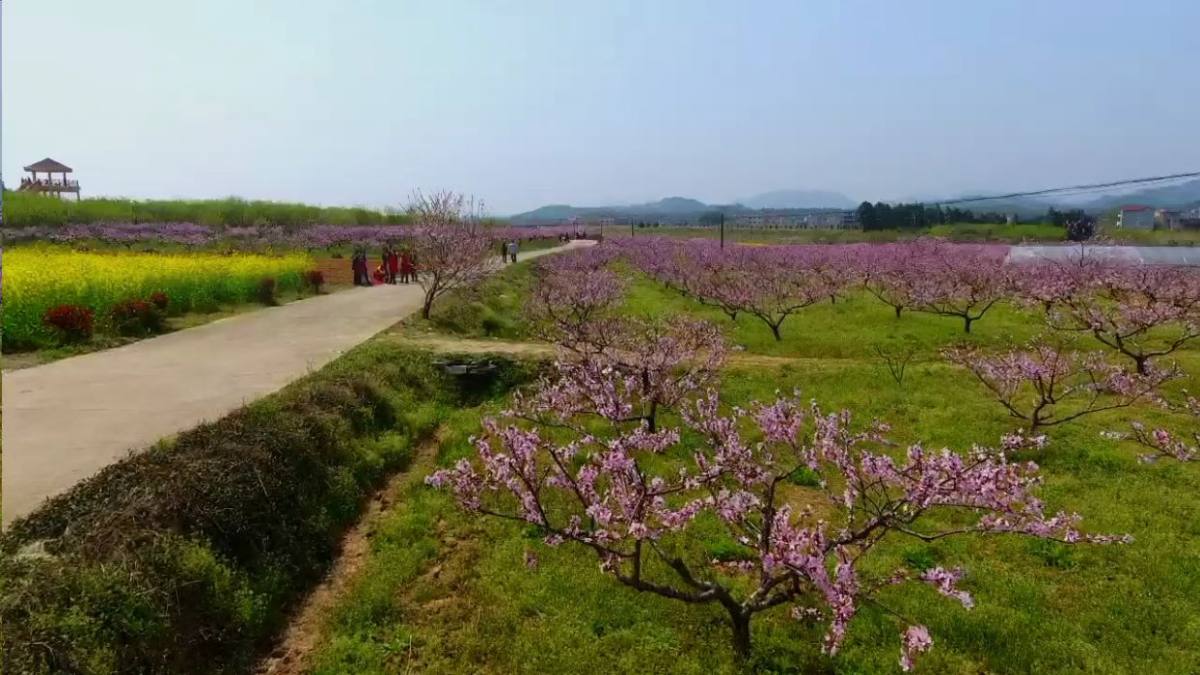 永修县凤凰山桃花节