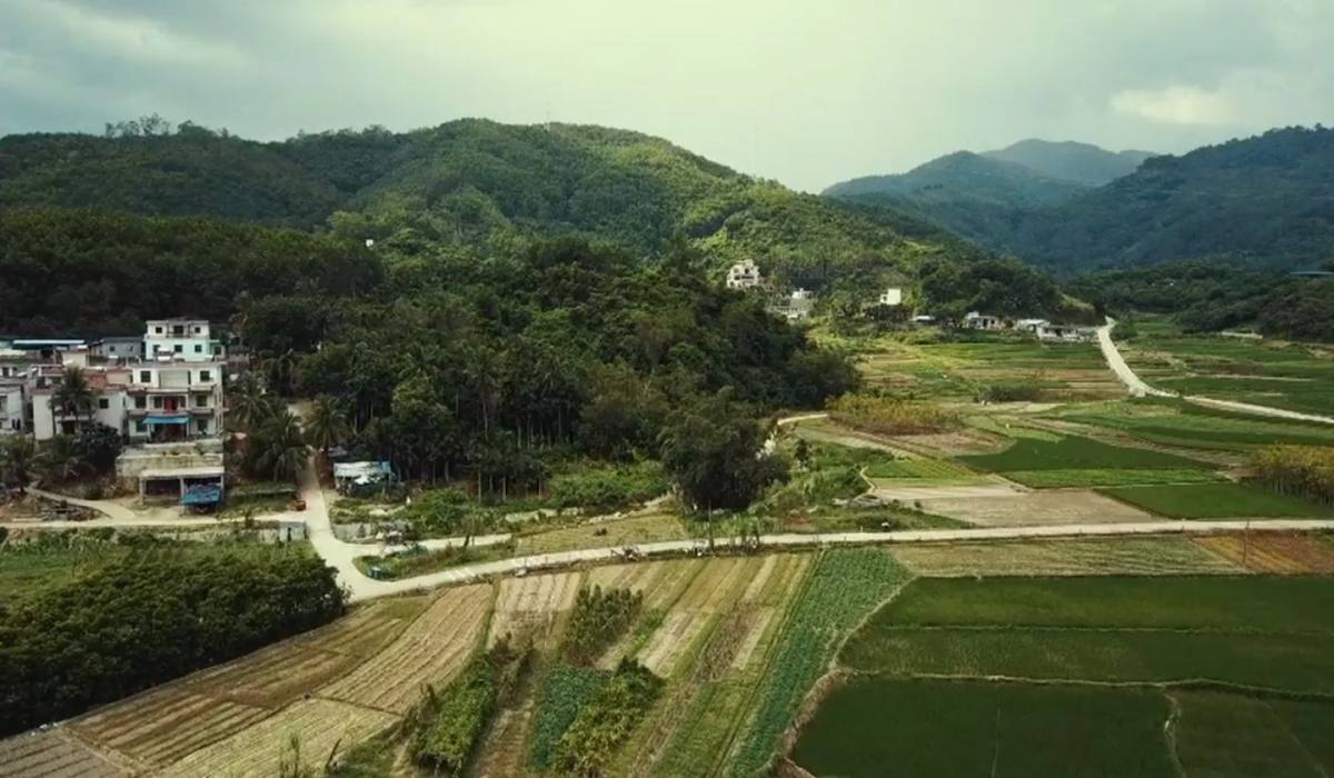 番茅村2/五指山/海南/中国20170919