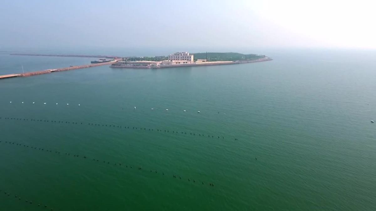 探访沙坨子岛海参基地图片