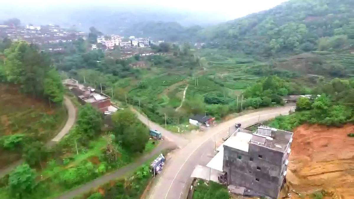 潮州凤凰镇茶叶原产地第一部视频