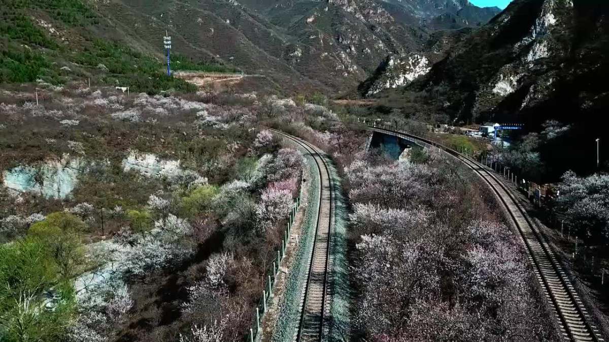 居庸关花海