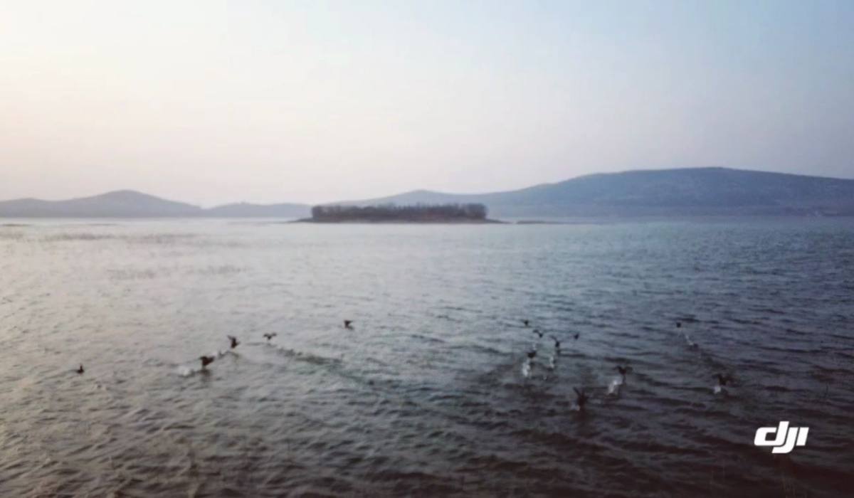 皖北湿地~淮北华家湖生态保护区