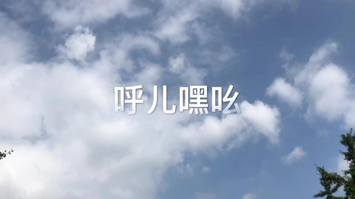 《呼儿嗨吆》mv,词曲演唱:李春波,主演导演:王灏