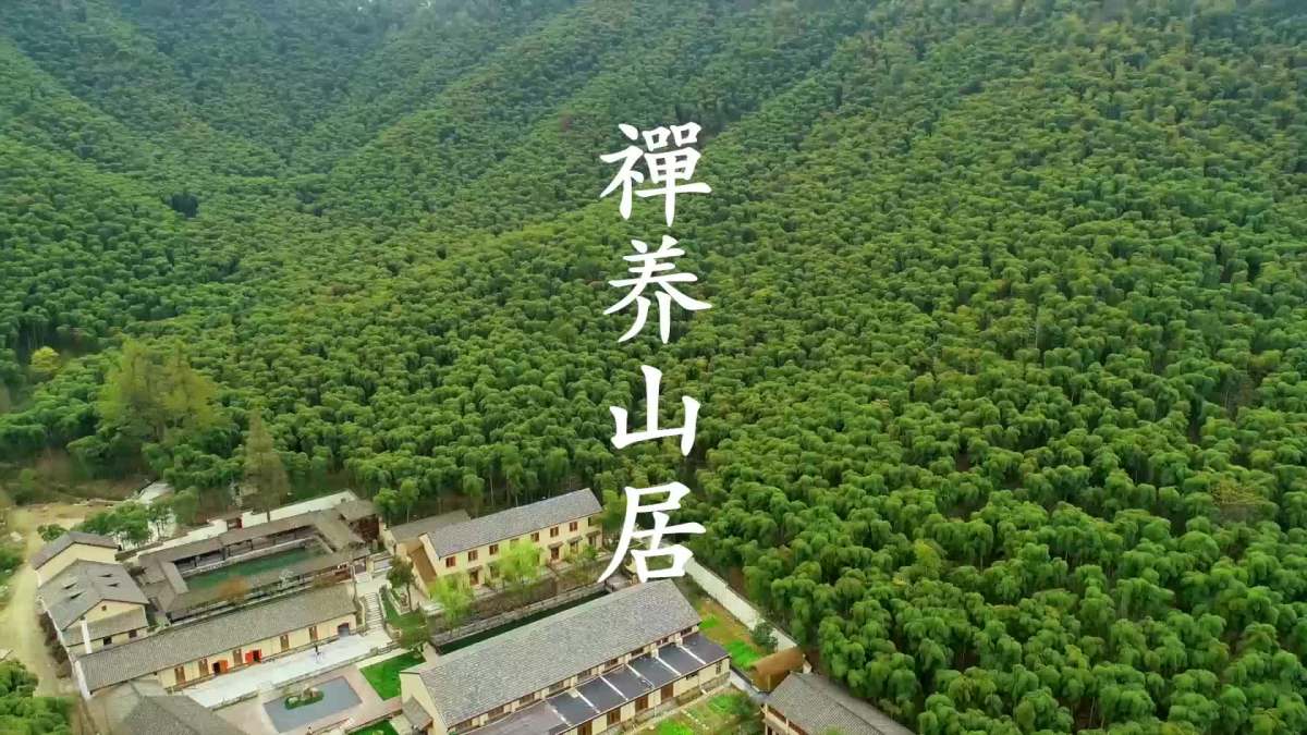 禅养山居——泰昌科技(杭州)