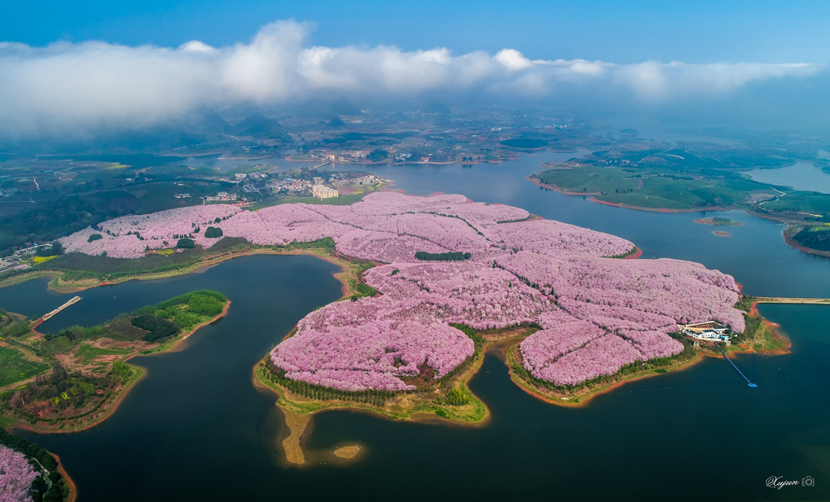 广州白云湖樱花岛图片