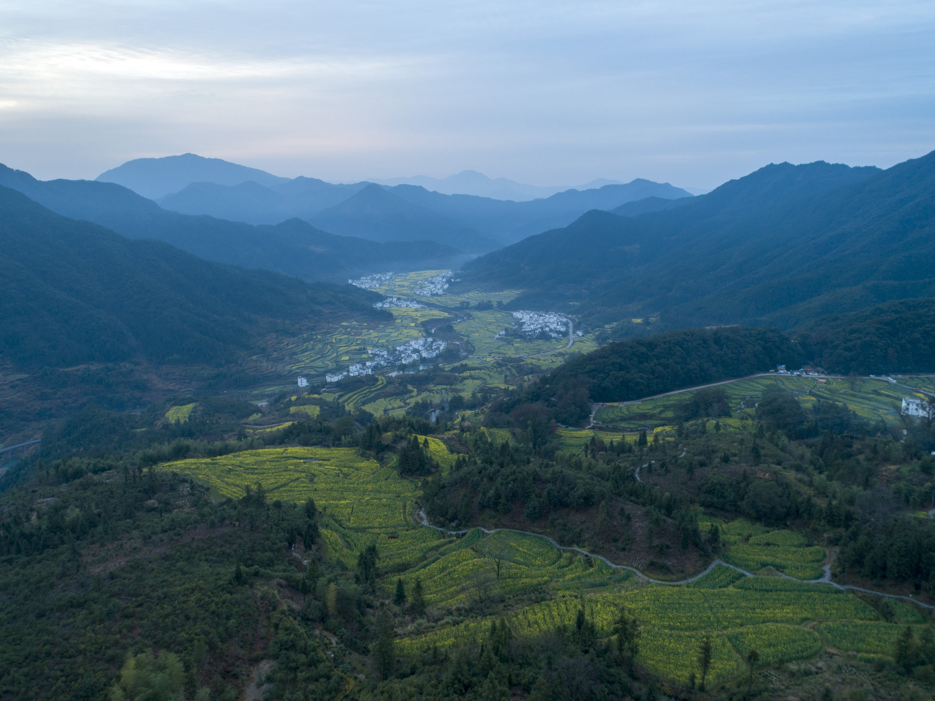 江西婺源江岭油菜花
