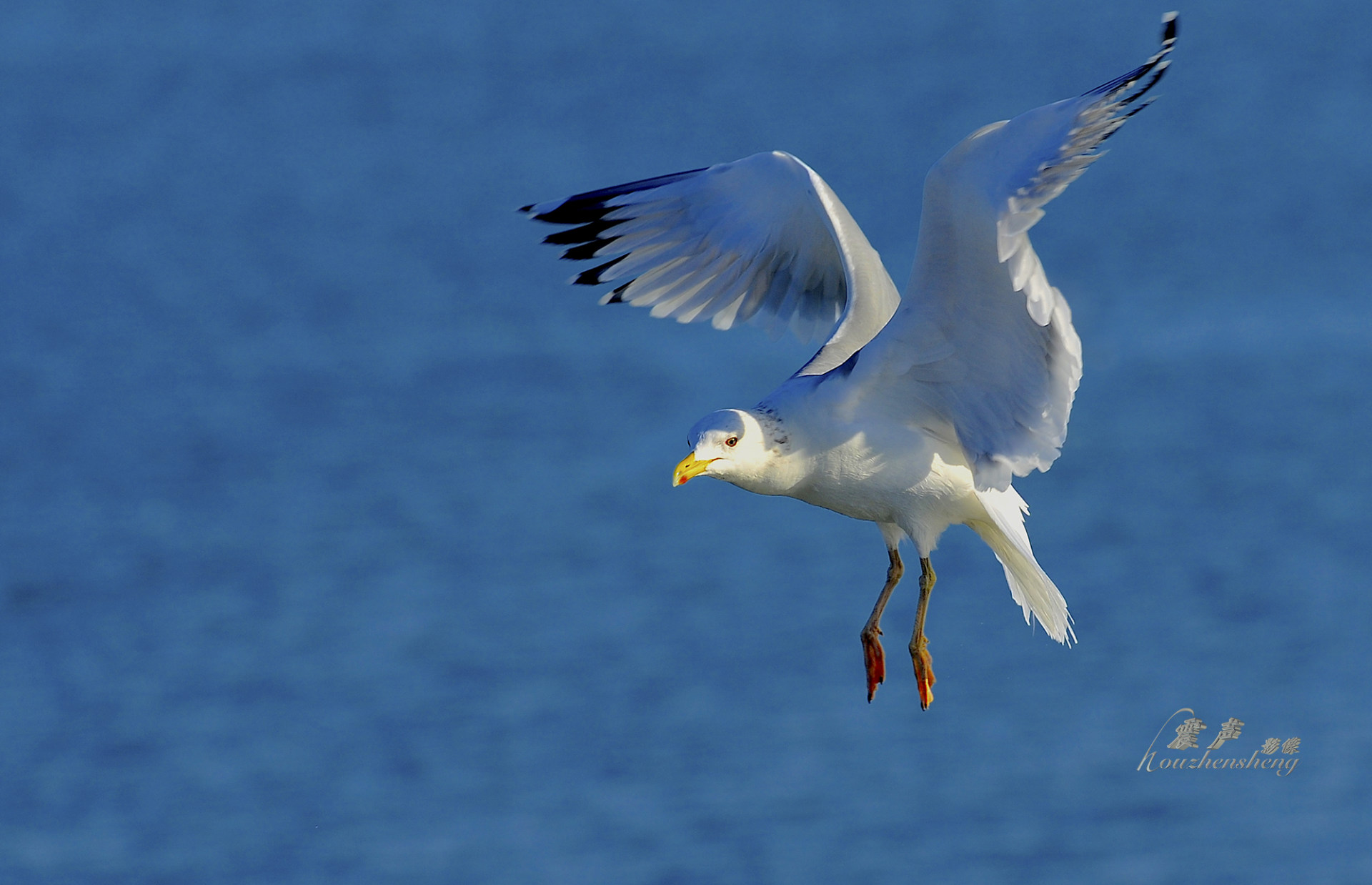 关注 5 分享 分享到微信 打开微信,点击底部的"发现",使用"扫一扫"