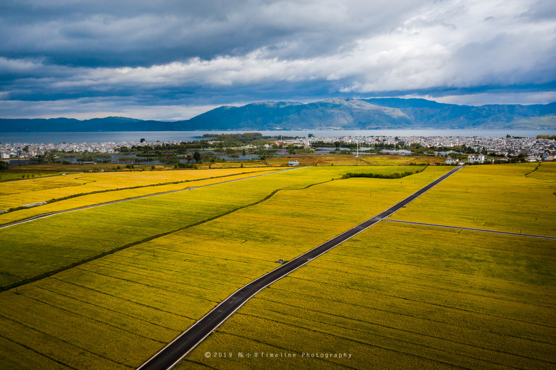 苍山下的喜洲麦田