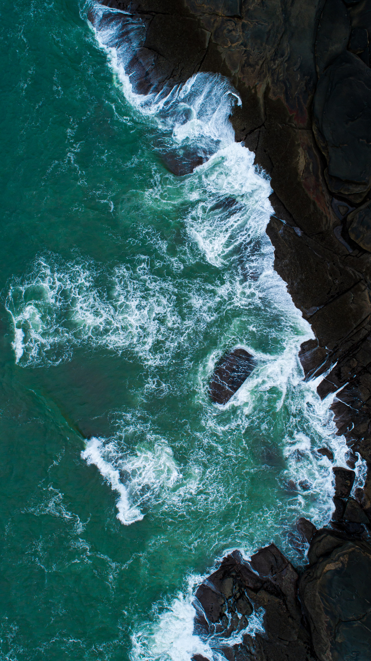 白浪拍岸thewhitewavesbeattheshore